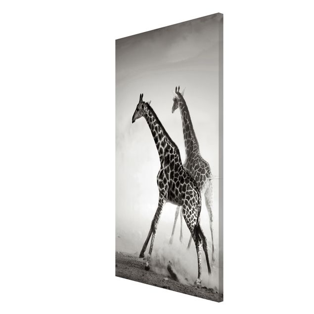 Tableros magnéticos animales Giraffe Hunt
