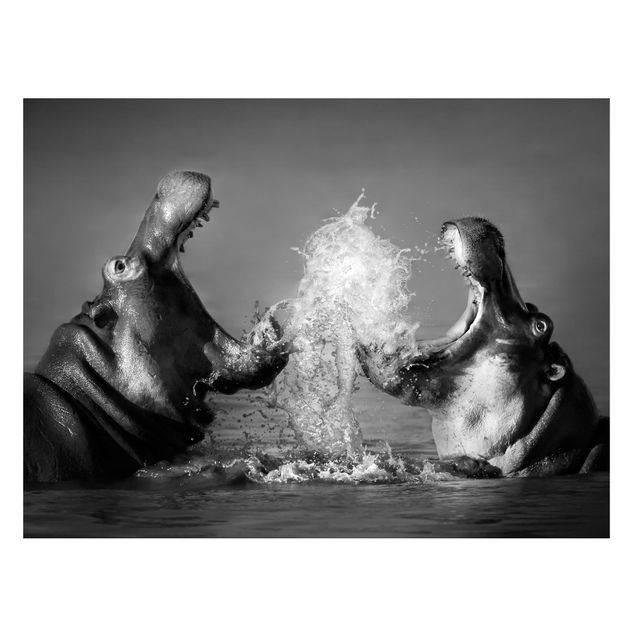 Tableros magnéticos animales Hippo Fight