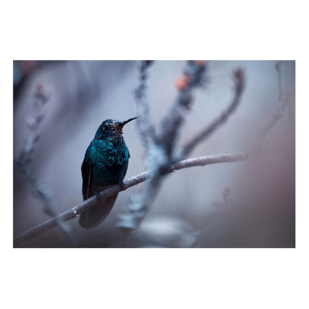Tableros magnéticos animales Hummingbird In Winter