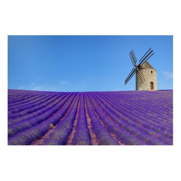 Cuadros de paisajes naturales  Lavender Scent In The Provence
