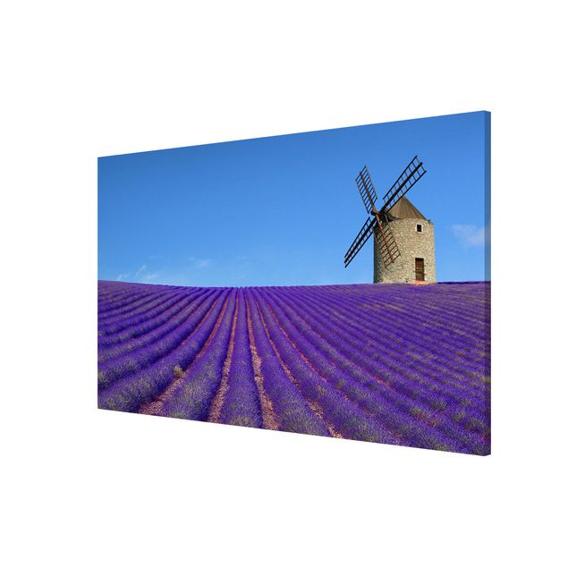 Cuadros de naturaleza Lavender Scent In The Provence