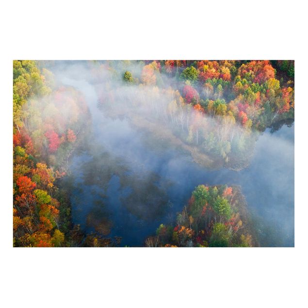 Cuadros de árboles Aerial View - Autumn Symphony