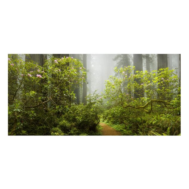 Cuadros de árboles para salón Misty Forest Path