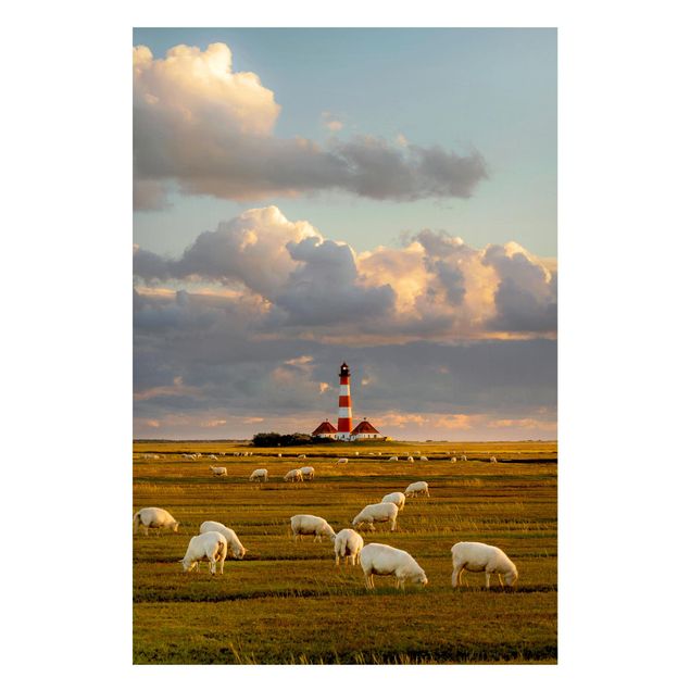 Cuadros de paisajes naturales  North Sea Lighthouse With Flock Of Sheep