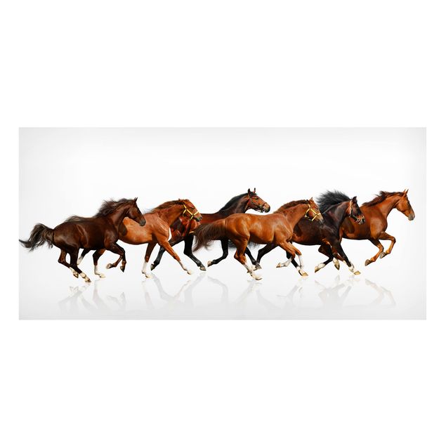 Cuadros caballos Horse Herd