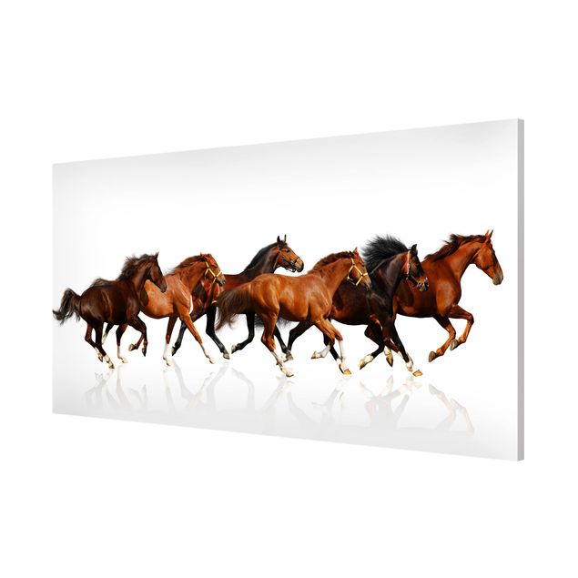 Tableros magnéticos animales Horse Herd