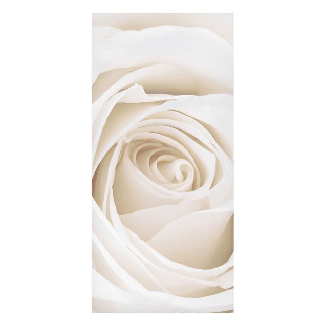 Tableros magnéticos flores Pretty White Rose