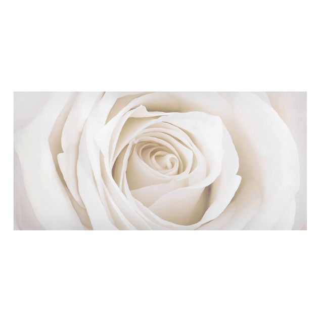 Tableros magnéticos flores Pretty White Rose