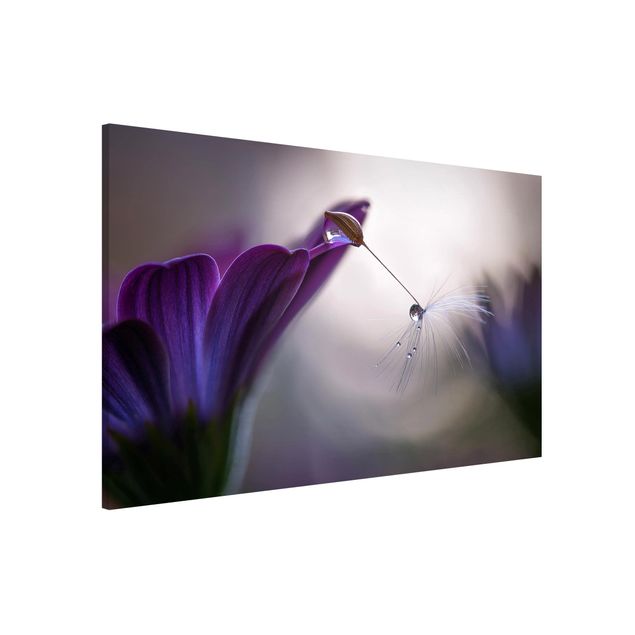 Tableros magnéticos flores Purple Rain