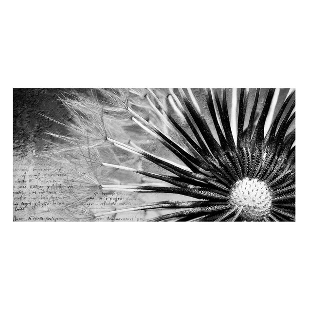 Tableros magnéticos flores Dandelion Black & White