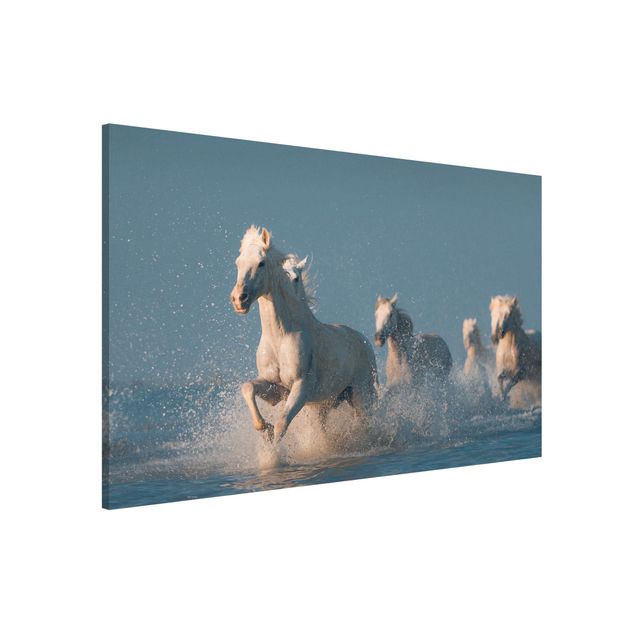 Tableros magnéticos animales Herd Of White Horses