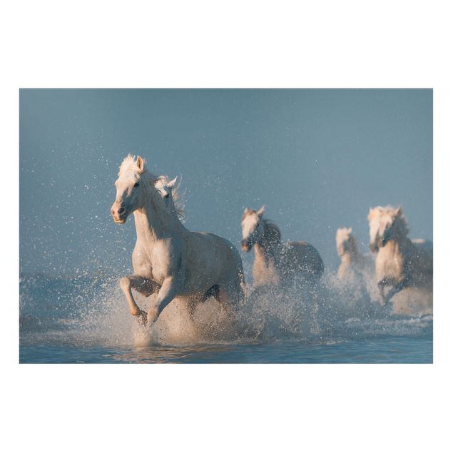 Tableros magnéticos animales Herd Of White Horses