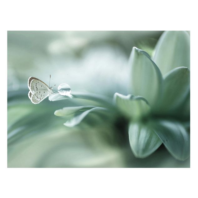 Cuadros de mariposas Butterfly And Dew Drops In Pastel Green