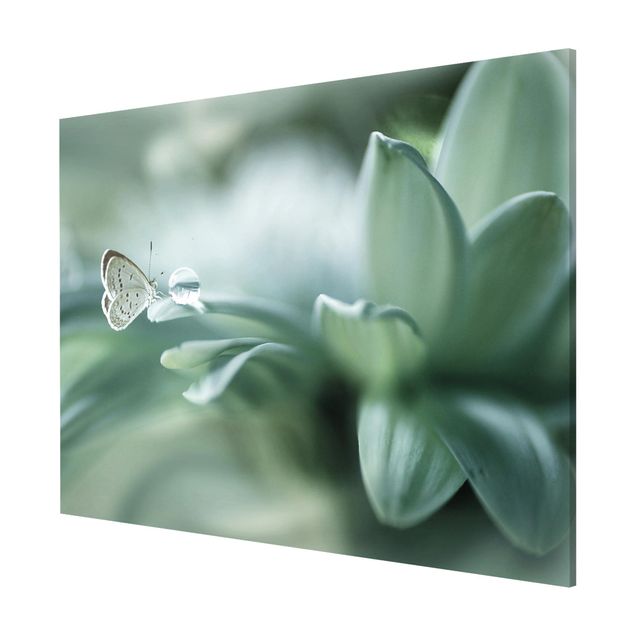 Tableros magnéticos flores Butterfly And Dew Drops In Pastel Green
