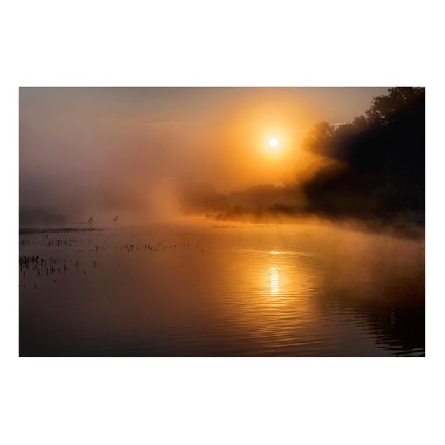 Cuadros paisajes Sunrise on the lake with deers in the fog