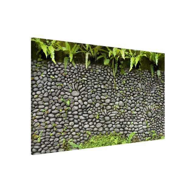 Decoración de cocinas Stone Wall With Plants