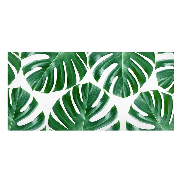 Tableros magnéticos flores Tropical Green Leaves Monstera