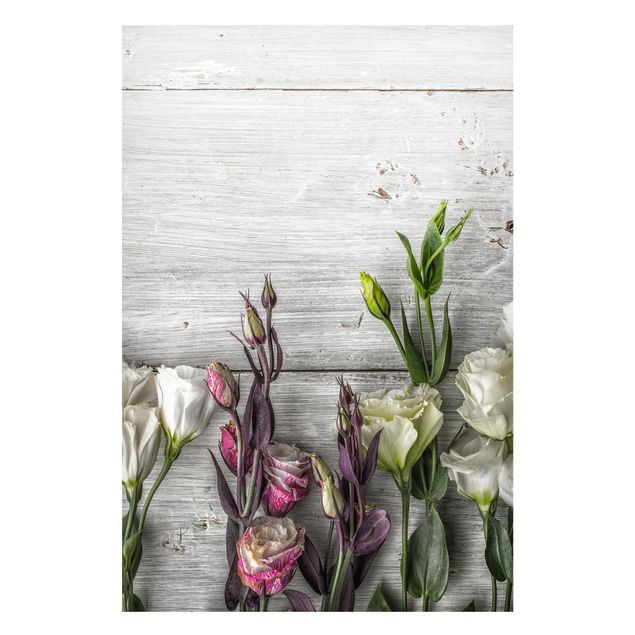 Cuadros de flores modernos Tulip Rose Shabby Wood Look