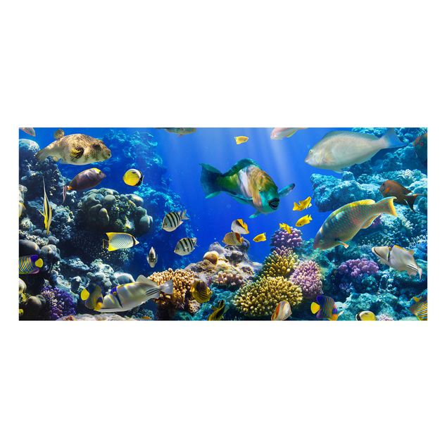 Cuadros de paisajes naturales  Underwater Reef