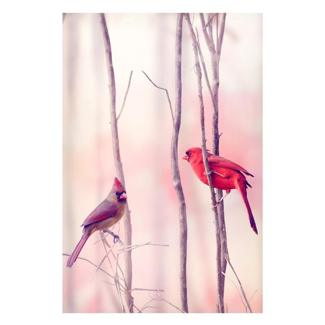 Tableros magnéticos animales Birds on Branches