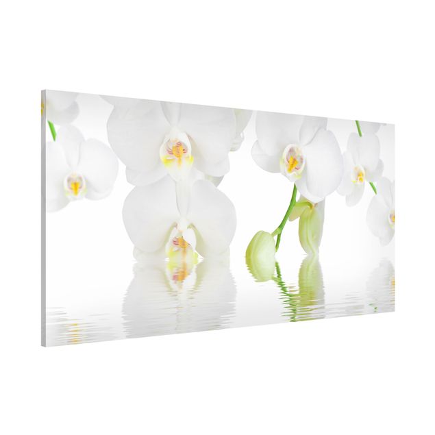 Cuadros con orquideas Spa Orchid - White Orchid