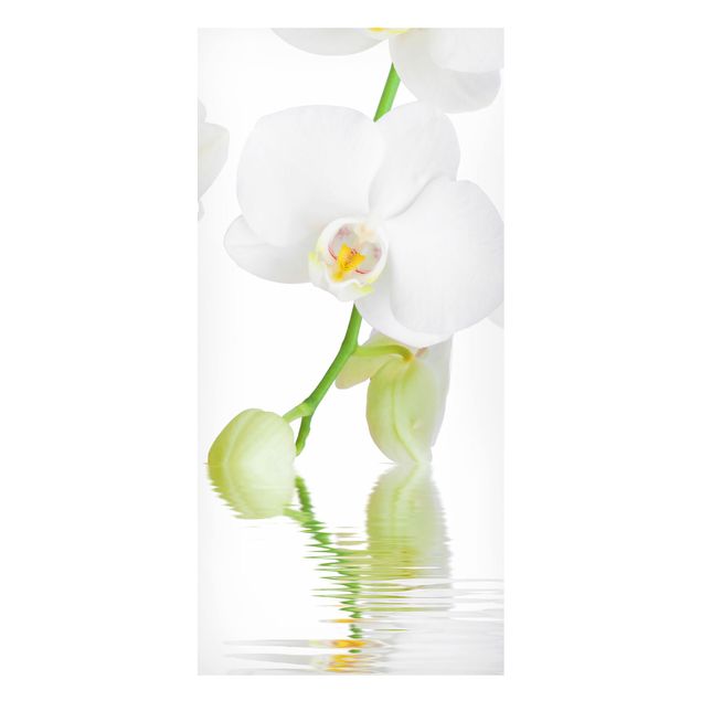 Decoración de cocinas Spa Orchid - White Orchid