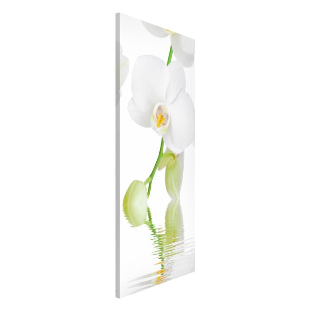 Cuadros de orquideas Spa Orchid - White Orchid