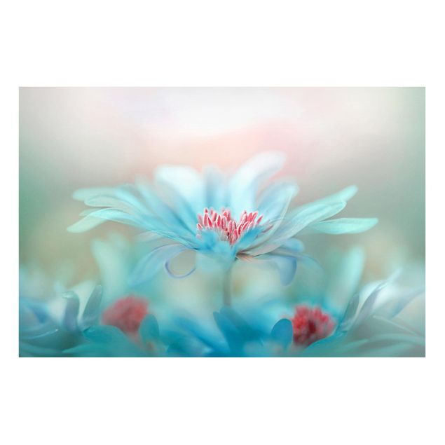 Tableros magnéticos flores Delicate Flowers In Pastel