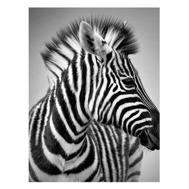 Cuadros cebras Zebra Baby Portrait II