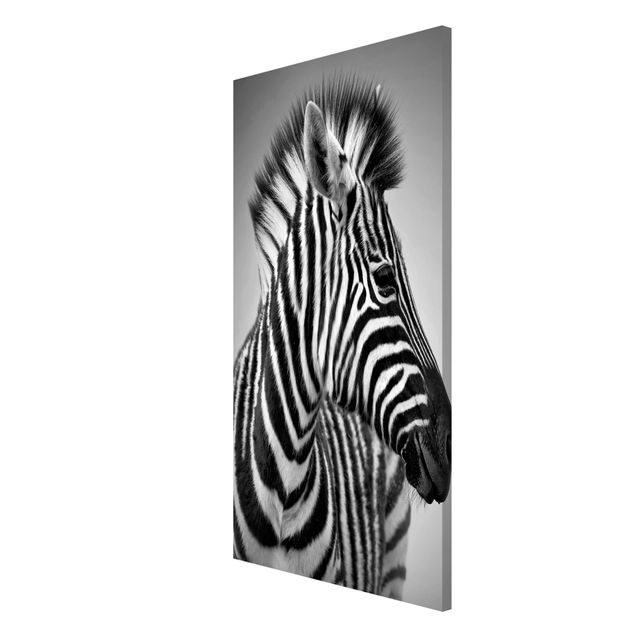 Tableros magnéticos animales Zebra Baby Portrait II