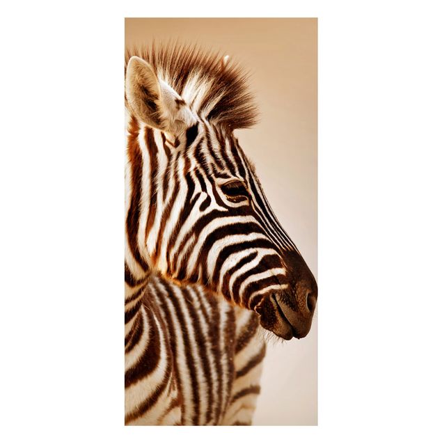 Cuadros de cebras Zebra Baby Portrait