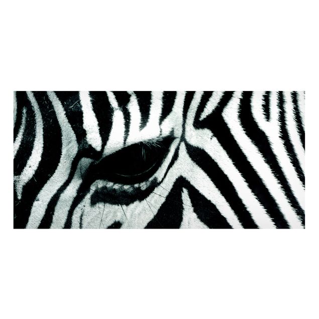 Cuadrs cebras Zebra Crossing