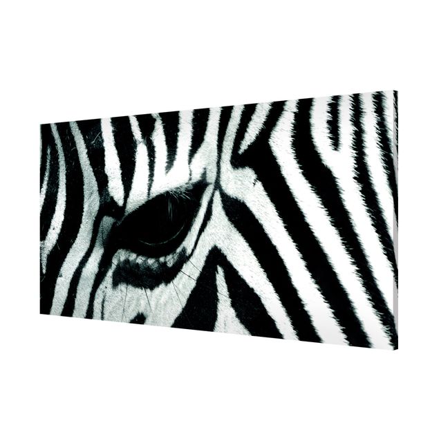Tableros magnéticos animales Zebra Crossing