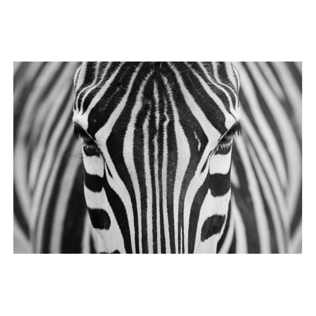 Cuadrs cebras Zebra Look