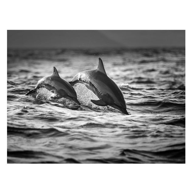 Cuadros de peces modernos Two Jumping Dolphins