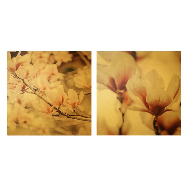 Cuadros modernos Magnolia Flower Set