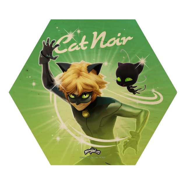 Cuadros tonos verdes Miraculous Cat Noir And Plagg