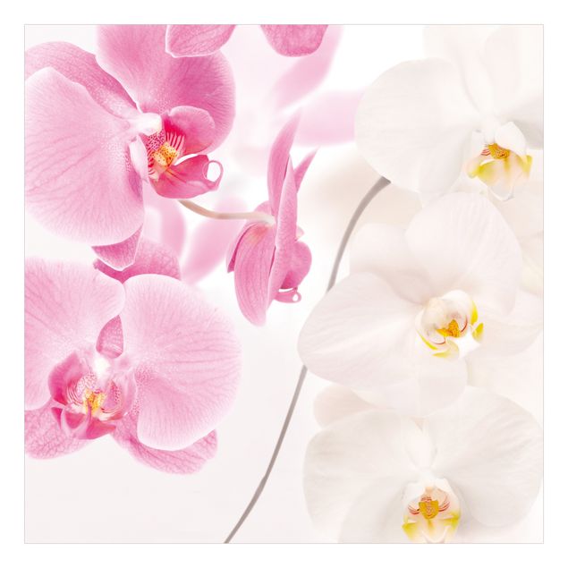 Papel para forrar muebles Delicate Orchids