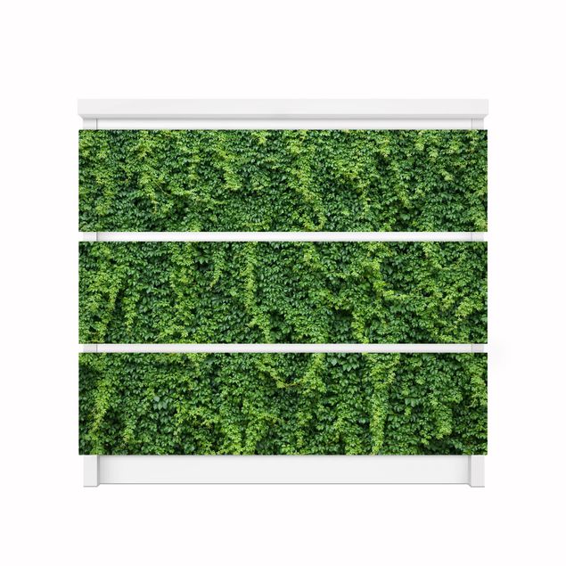Láminas adhesivas en verde Ivy