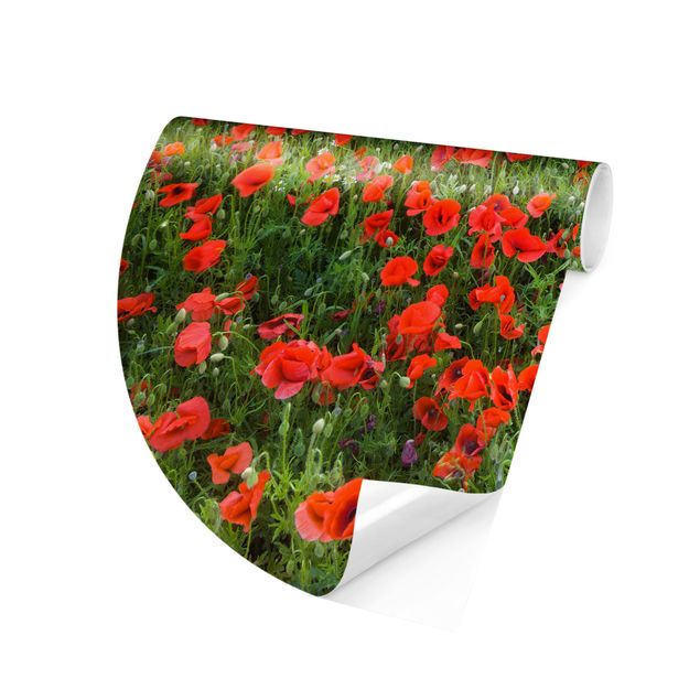 Papel pared flores Poppy Field