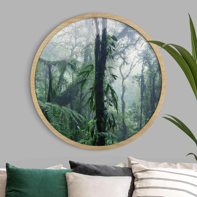 Cuadros de paisajes naturales  Monteverde Cloud Forest