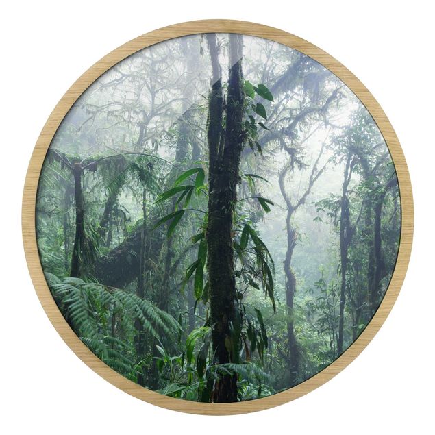 Cuadros redondos modernos Monteverde Cloud Forest