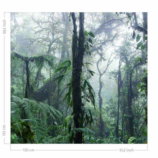 cortina a medida Monteverde Cloud Forest