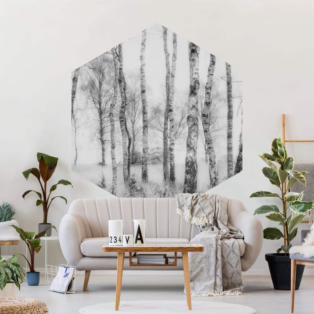 Papel pared paisaje Mystic Birch Forest Black And White