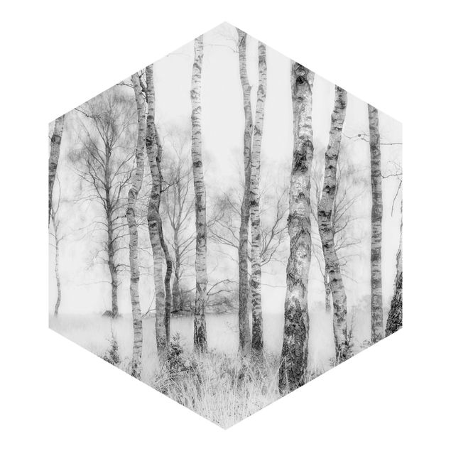Papel de pared Mystic Birch Forest Black And White