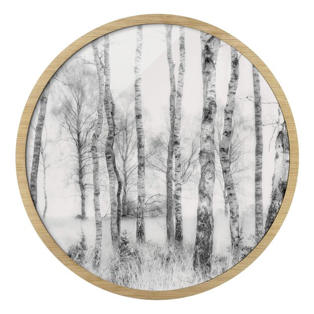 Cuadro redondo Mystic Birch Forest Black And White