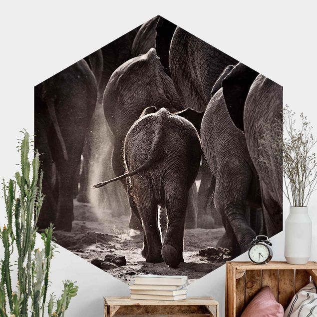 Papel pintado elefantes Going Home