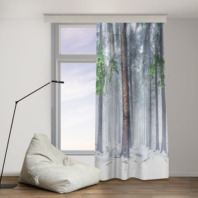 cortinas para sala modernas Conifers In Winter