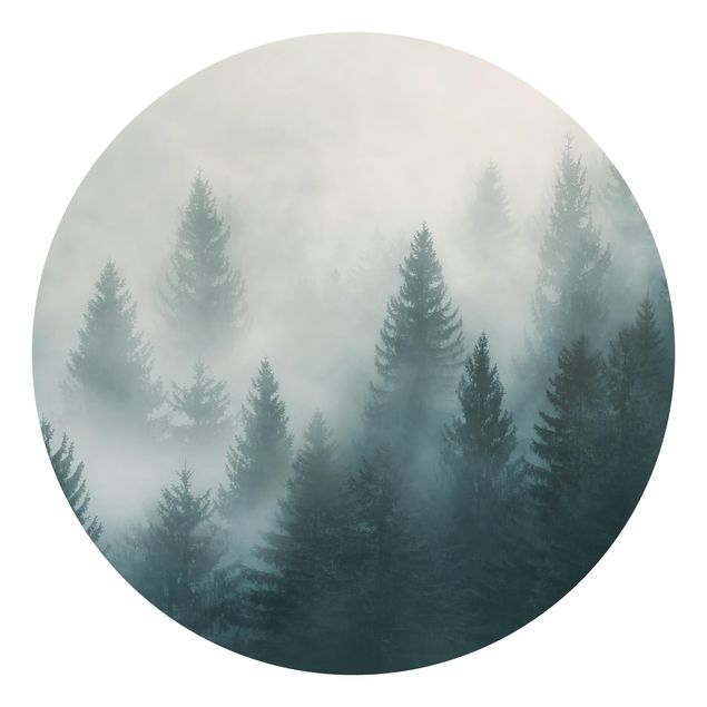 Papel pintado bosque Coniferous Forest In Fog