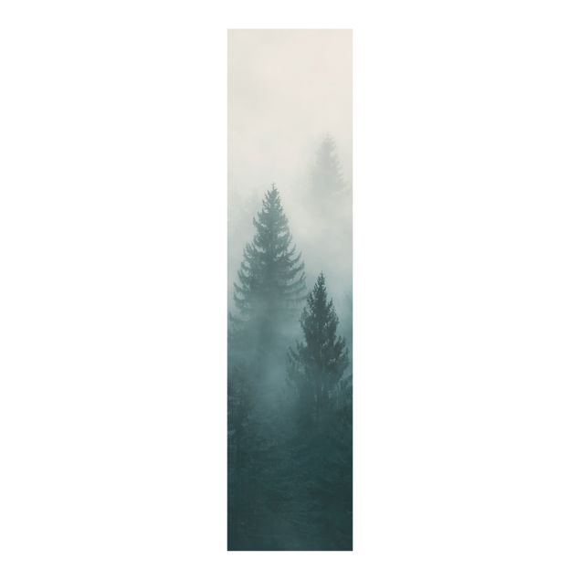 Paneles japoneses paisajes Coniferous Forest In Fog